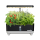 Zestaw Smart Home Rainpoint Zestaw do uprawy hydroponicznej